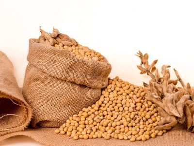 soybeans-plants-seeds-bag